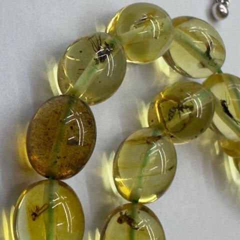 Haşere Fosilli Kaliningrad Damla Kehribar Tespih 7*8,5 (mm)