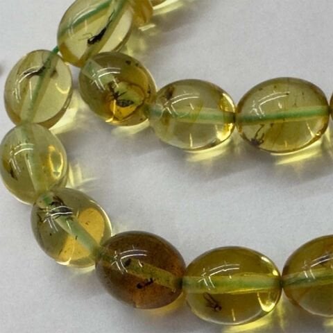 Haşere Fosilli Kaliningrad Damla Kehribar Tespih 7*8,5 (mm)