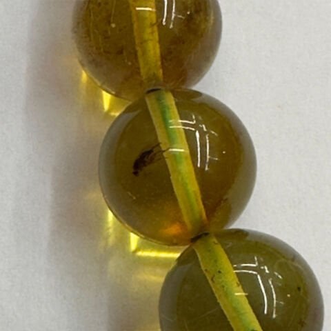 Haşere Fosilli Kaliningrad Damla Kehribar Tespih 10 (mm)