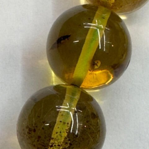 Haşere Fosilli Kaliningrad Damla Kehribar Tespih 10 (mm)