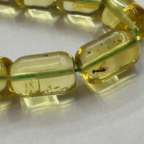 Haşere Fosilli Kaliningrad Damla Kehribar Tespih 7*10 (mm)