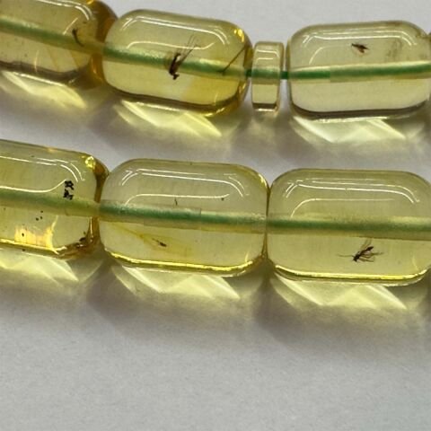 Haşere Fosilli Kaliningrad Damla Kehribar Tespih 7*10 (mm)