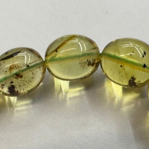 Haşere Fosilli Kaliningrad Damla Kehribar Tespih 7,5*8,5 (mm)