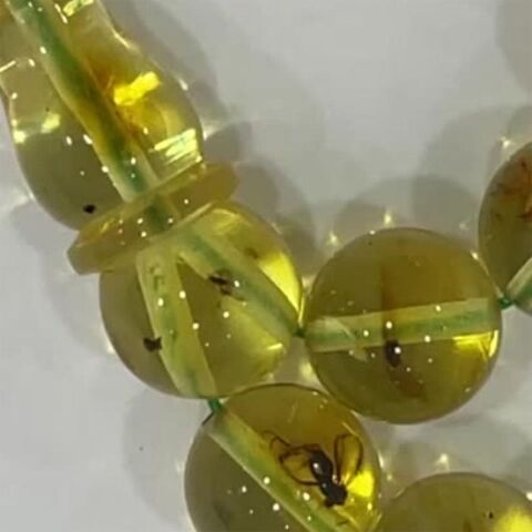 Fosilli Kaliningrad Damla Kehribar Tespih 9 (mm)