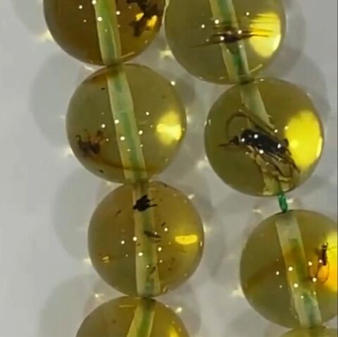 Fosilli Kaliningrad Damla Kehribar Tespih 9 (mm)