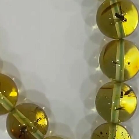 Fosilli Kaliningrad Damla Kehribar Tespih 9 (mm)