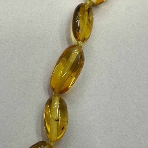 Haşere Fosilli Kaliningrad Damla Kehribar Kolye 10 (gr)