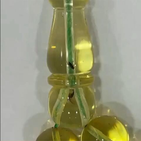 Fosilli Kaliningrad Damla Kehribar Tespih 10 (mm)