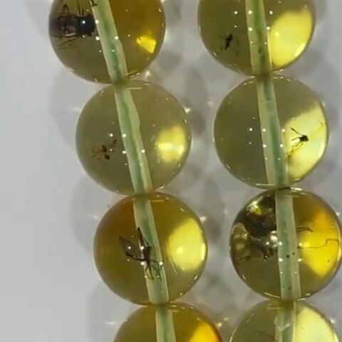 Fosilli Kaliningrad Damla Kehribar Tespih 10 (mm)