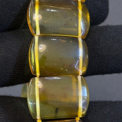 Haşere Fosilli Kaliningrad Damla Kehribar Bileklik 20 (gr)