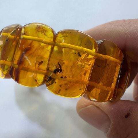 Haşere Fosilli Kaliningrad Damla Kehribar Bileklik