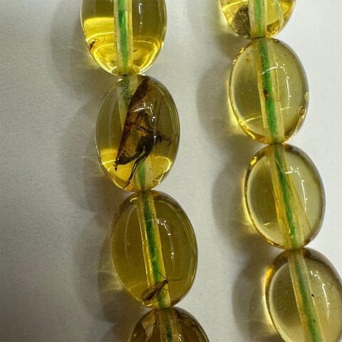 Haşere Fosilli Kaliningrad Damla Kehribar Tespih 6*8 (mm)