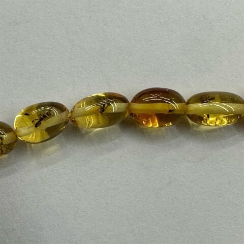 Haşere Fosilli Kaliningrad Damla Kehribar Tespih 5,5*10 (mm)