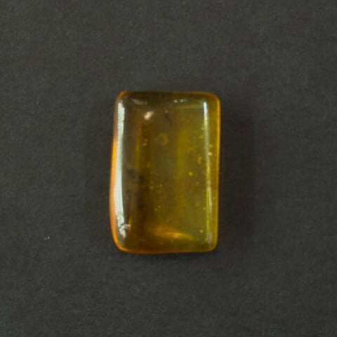 Haşere Fosilli Damla Kehribar Taş 1,5 (gr)-4