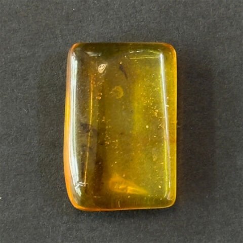 Haşere Fosilli Damla Kehribar Taş 1,5 (gr)-4