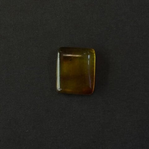 Haşere Fosilli Damla Kehribar Taş 1 (gr)-6