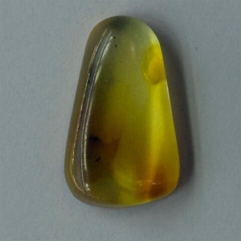 Haşere Fosilli Damla Kehribar Taş 1 (gr)-7