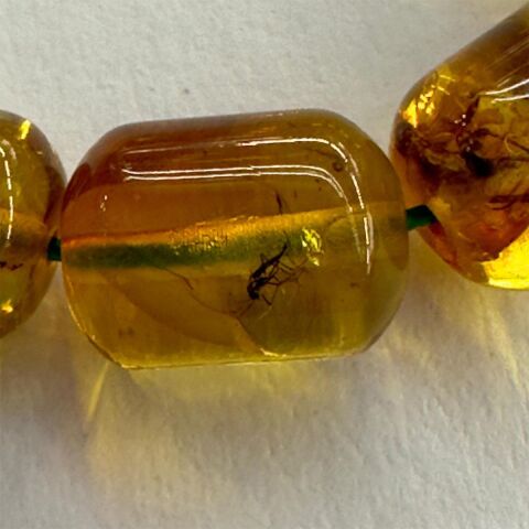 Haşere Fosilli Kaliningrad Damla Kehribar Tespih 7,5*9,5 (mm)