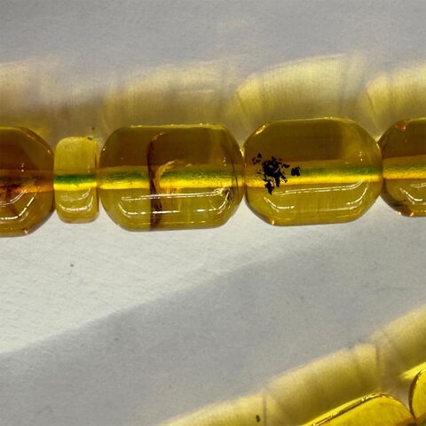 Haşere Fosilli Kaliningrad Damla Kehribar Tespih 7,5*9,5 (mm)