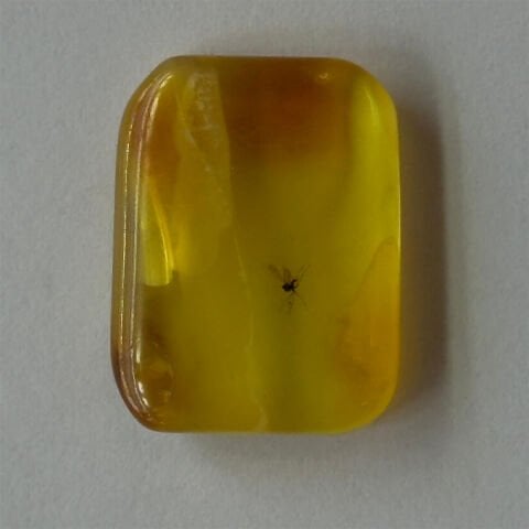 Haşere Fosilli Damla Kehribar Taş 1,5 (gr)-5