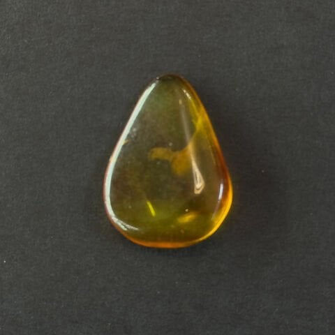 Haşere Fosilli Damla Kehribar Taş 1,5 (gr)-6