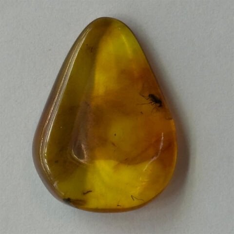 Haşere Fosilli Damla Kehribar Taş 1,5 (gr)-6