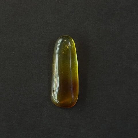 Haşere Fosilli Damla Kehribar Taş 1 (gr)-8