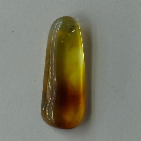 Haşere Fosilli Damla Kehribar Taş 1 (gr)-8