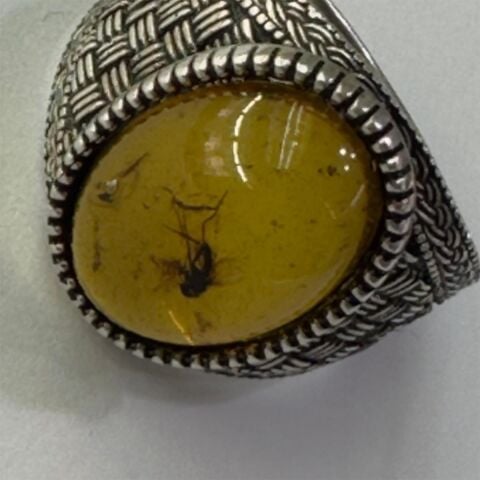 Haşere Fosilli Kaliningrad Damla Kehribar Yüzük Model - 2