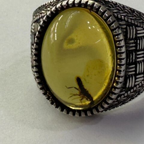 Haşere Fosilli Kaliningrad Damla Kehribar Yüzük Model - 3