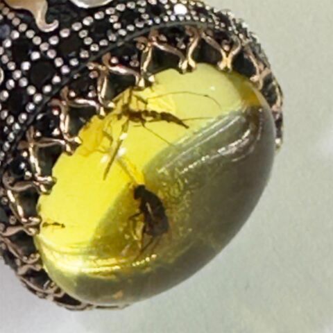 Haşere Fosilli Kaliningrad Damla Kehribar Yüzük Model - 4