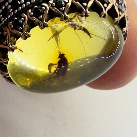 Haşere Fosilli Kaliningrad Damla Kehribar Yüzük Model - 4