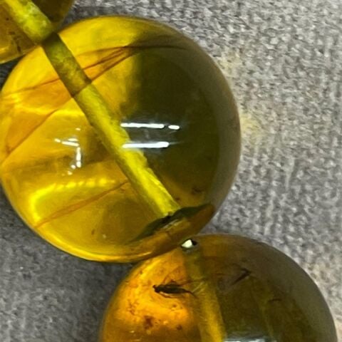 Fosilli Kaliningrad Damla Kehribar Tespih 16 (mm)