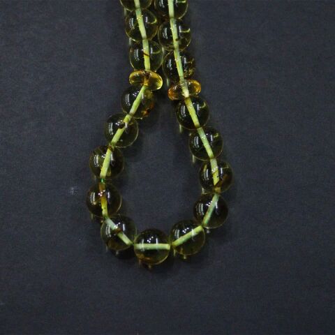 Haşere Fosilli Kaliningrad Damla Kehribar 10 (mm)