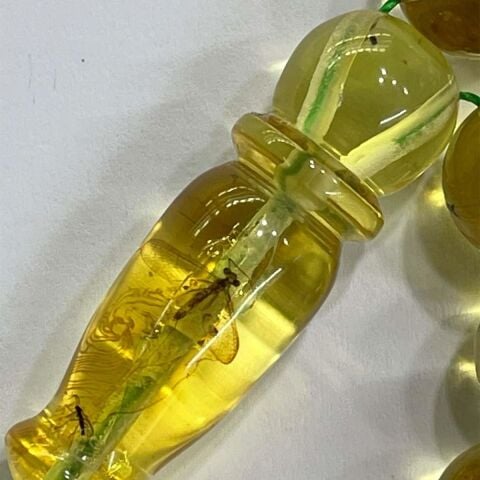 Haşere Fosilli Kaliningrad Damla Kehribar 10 (mm)