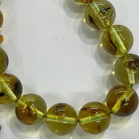 Haşere Fosilli Kaliningrad Damla Kehribar 9 (mm)