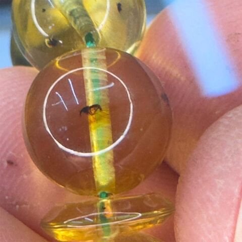 Haşere Fosilli Kaliningrad Damla Kehribar Tespih 10,5 (mm)