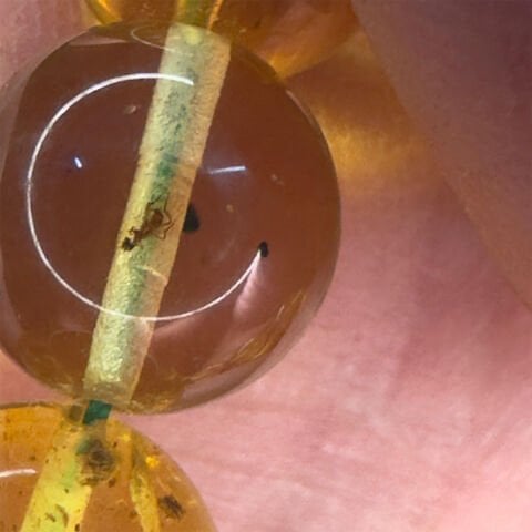 Haşere Fosilli Kaliningrad Damla Kehribar Tespih 10,5 (mm)