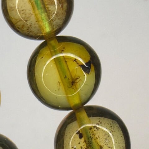 Haşere Fosilli Kaliningrad Damla Kehribar Tespih 10 (mm)