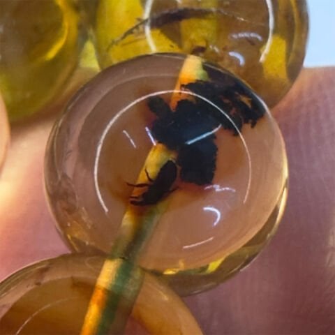 Haşere Fosilli Kaliningrad Damla Kehribar Tespih 10 (mm)