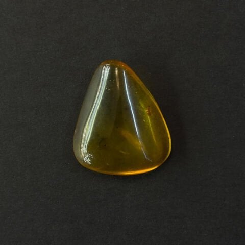 Haşere Fosilli Damla Kehribar Taş 3 (gr)