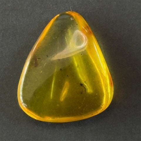 Haşere Fosilli Damla Kehribar Taş 3 (gr)