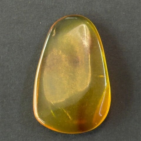 Haşere Fosilli Damla Kehribar Taş 2 (gr)