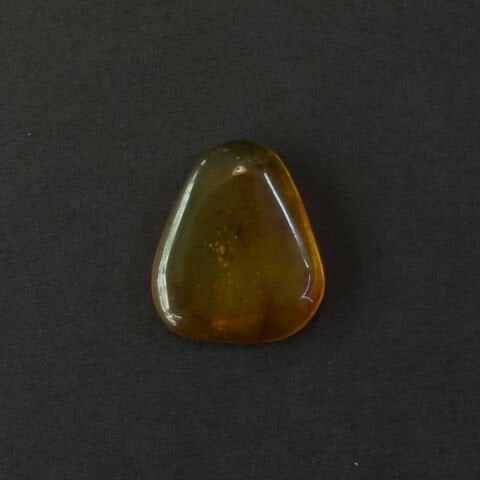 Haşere Fosilli Damla Kehribar Taş 2 (gr)-1