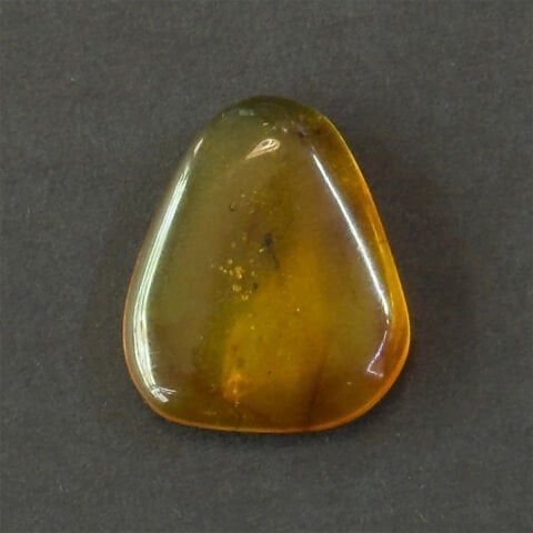 Haşere Fosilli Damla Kehribar Taş 2 (gr)-1