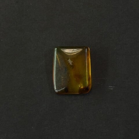 Haşere Fosilli Damla Kehribar Taş 1 (gr)-3