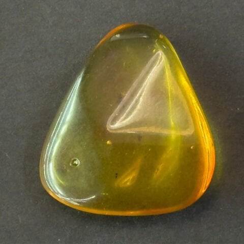 Haşere Fosilli Damla Kehribar Taş 2,5 (gr)-1