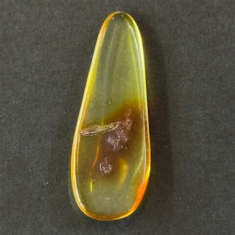 Haşere Fosilli Damla Kehribar Taş 1 (gr)-4