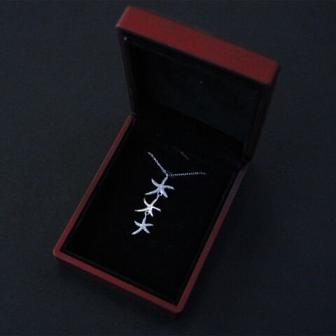 Yıldız Motifli 925 Ayar Gümüş Hayalet Kolye