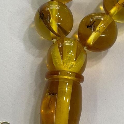 Haşere Fosilli Kaliningrad Damla Kehribar 8 (mm)